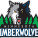 Minnesota Timberwolves
