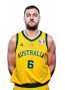 Andrew  Bogut